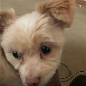 Meet your Posher, Zack